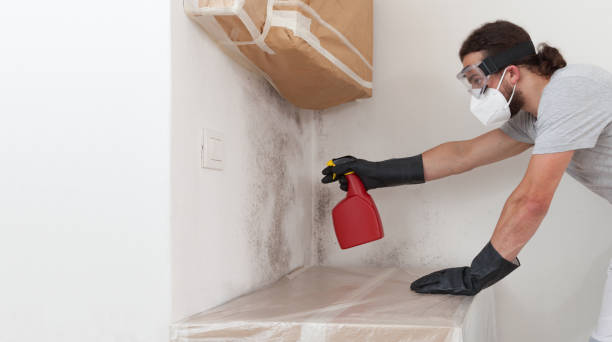 Professional Black Mold Removal technician working in Portland, TN